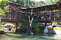 Rainforeststation - Croc Show !